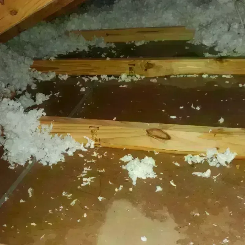 Attic Water Damage in McIntosh County, OK