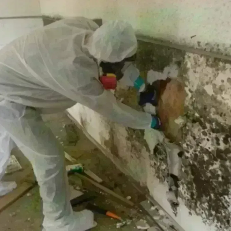 Mold Remediation and Removal in McIntosh County, OK